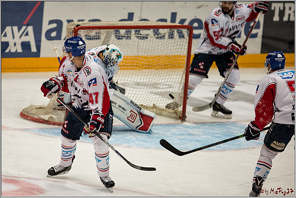 Koelner Haie - Adler Mannheim, 30.10.2016